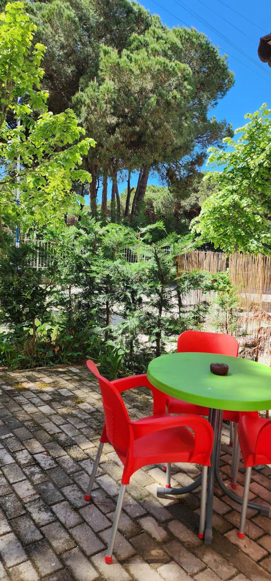 Sunny Beach Loft גולם מראה חיצוני תמונה